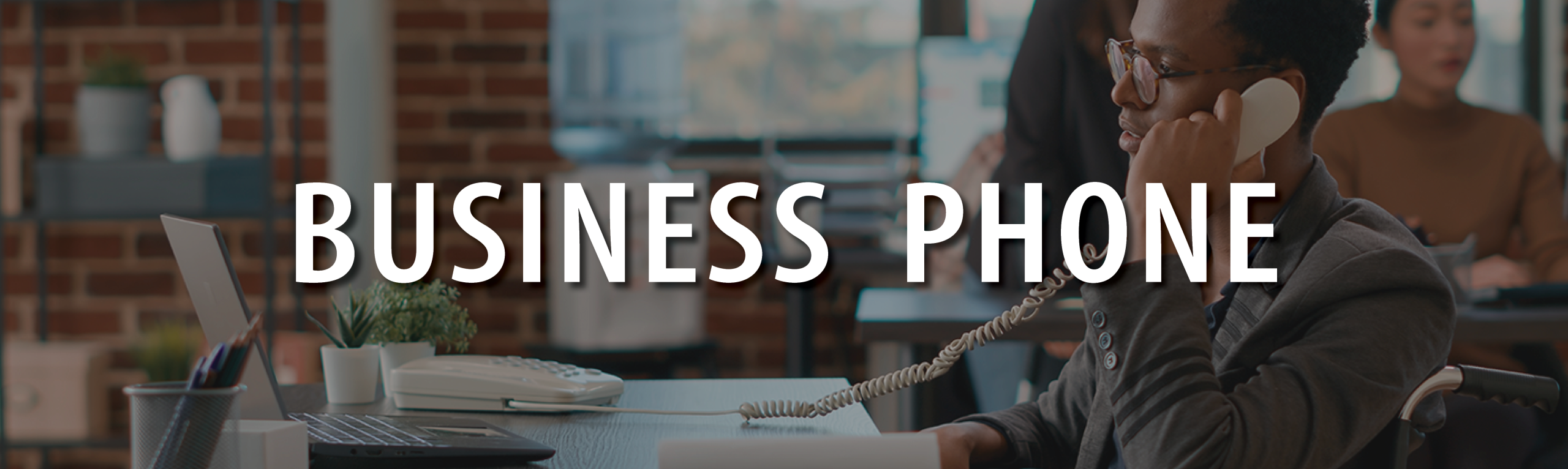 Biz Phone Banner