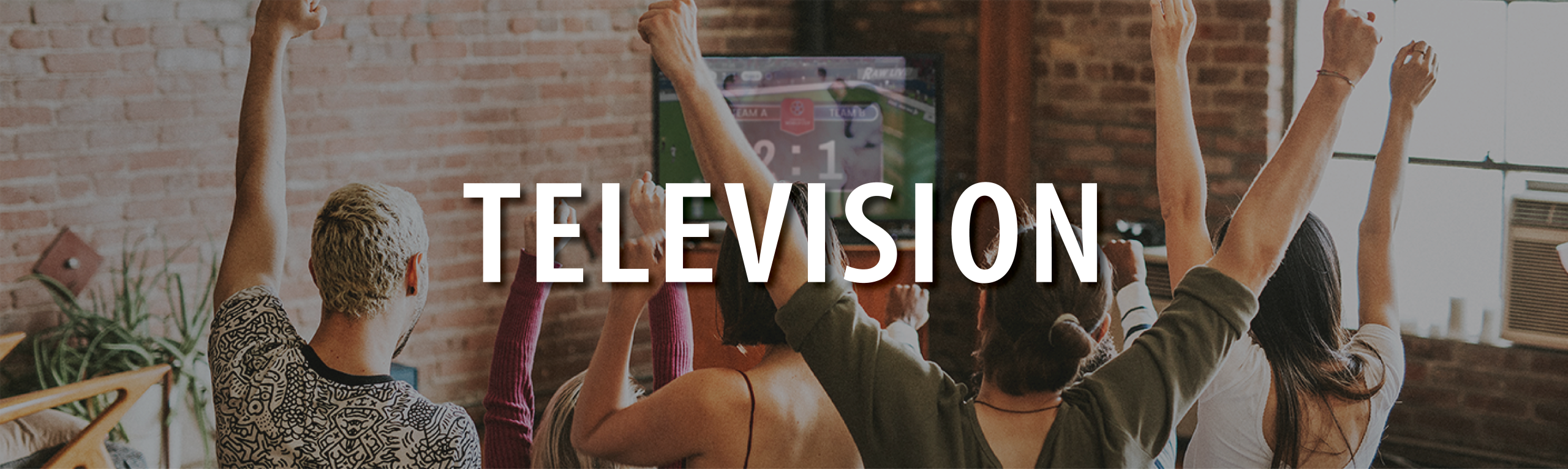 Television Banner