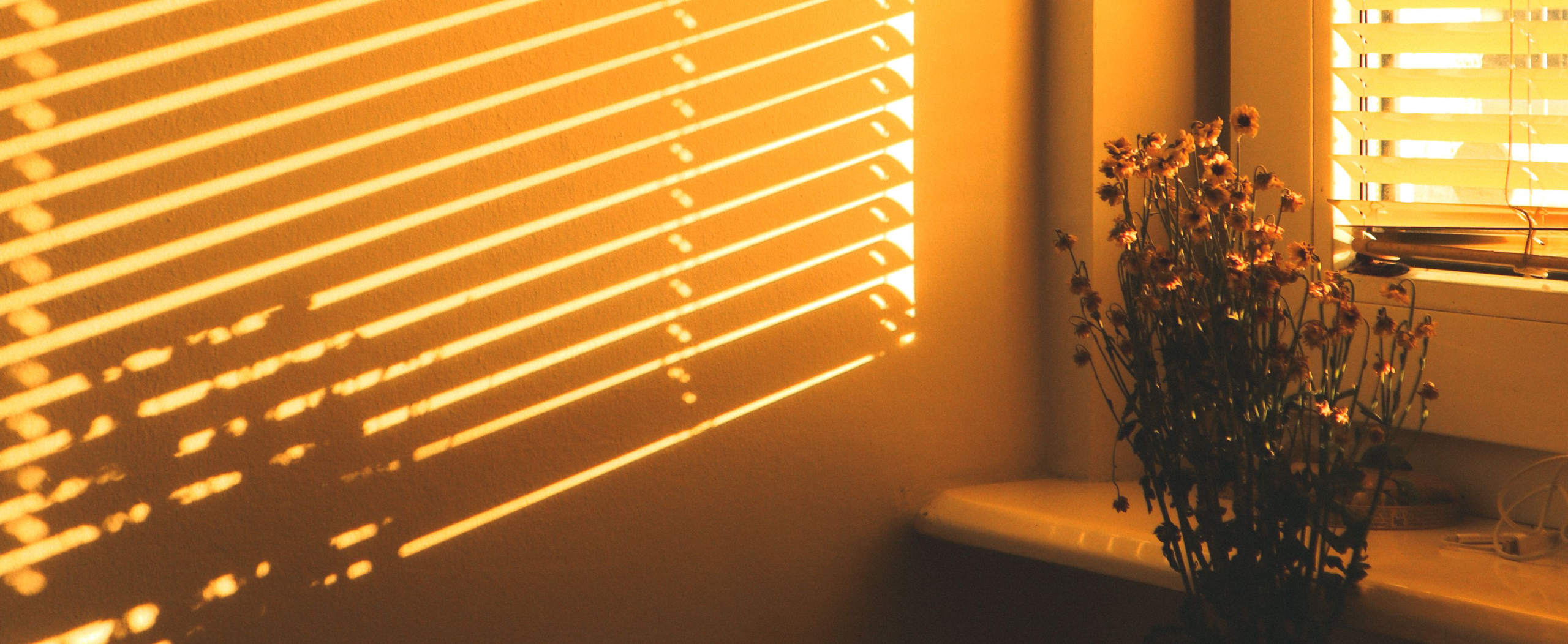 sunshine blinds banner